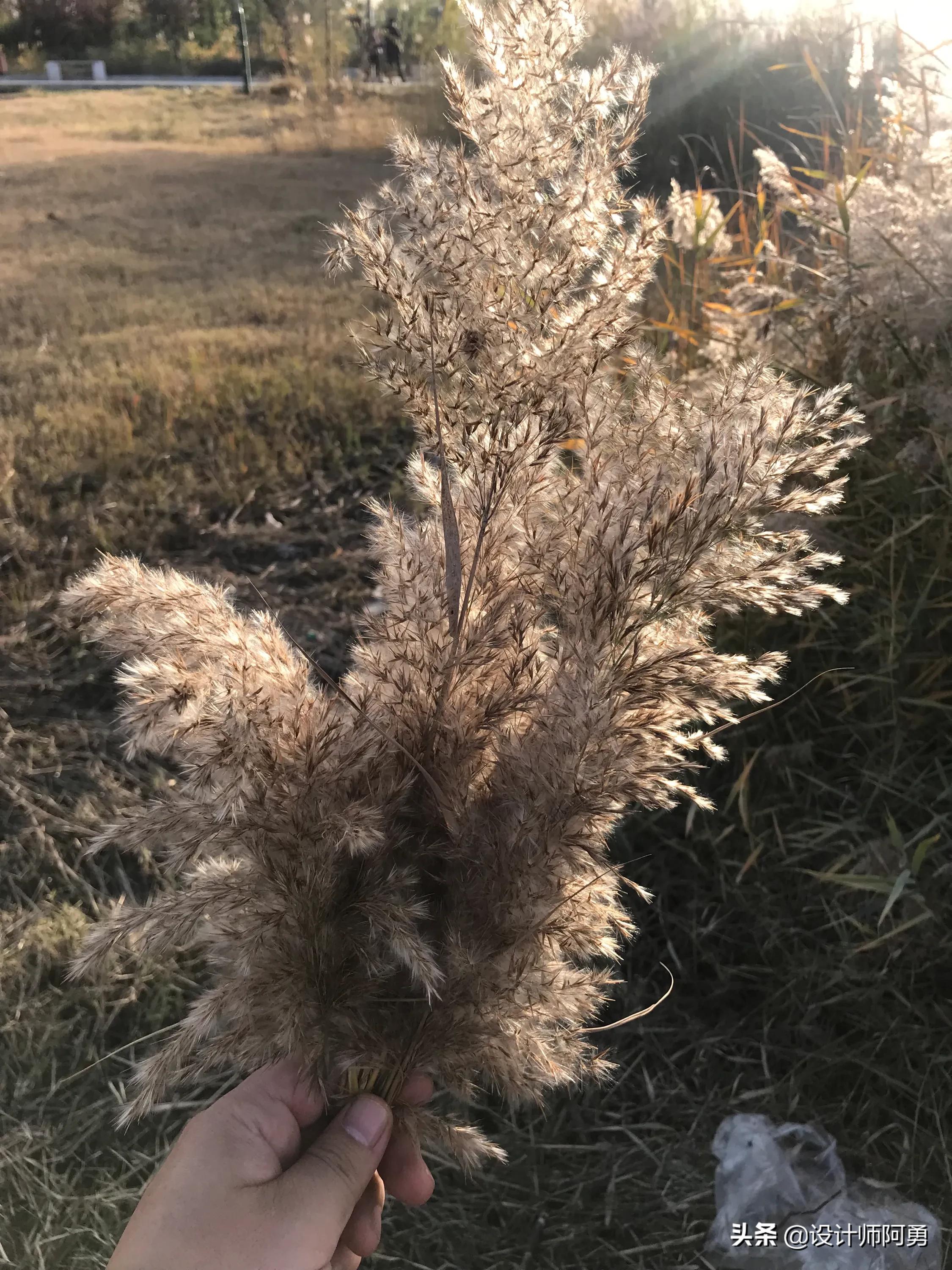 今日特码科普！寒潮雨雪或波及全国,百科词条爱好_澳彩资料网