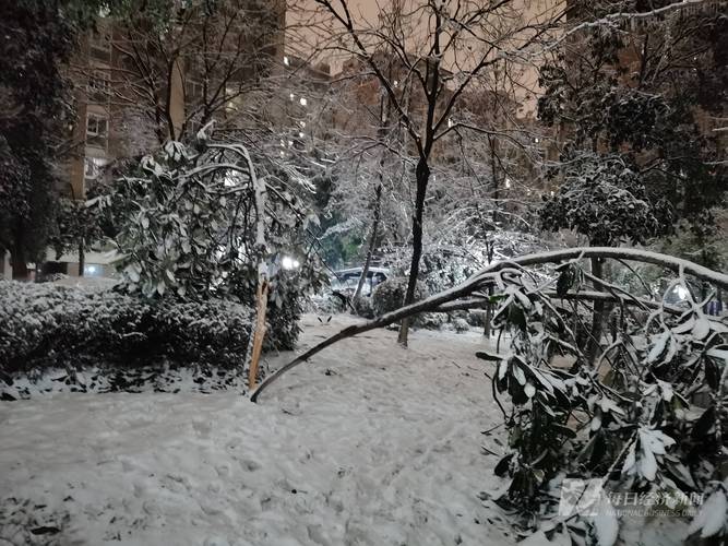 今日特码科普！春运遇暴雪被堵高速,百科词条爱好_澳彩资料网