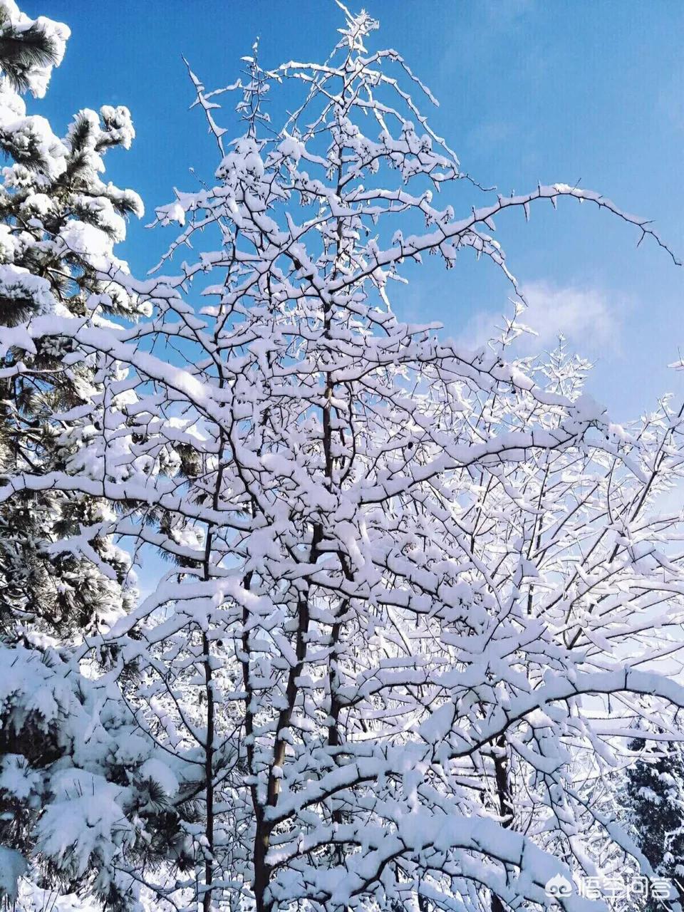 今日特码科普！大风暴雪预警生效中,百科词条爱好_澳彩资料网