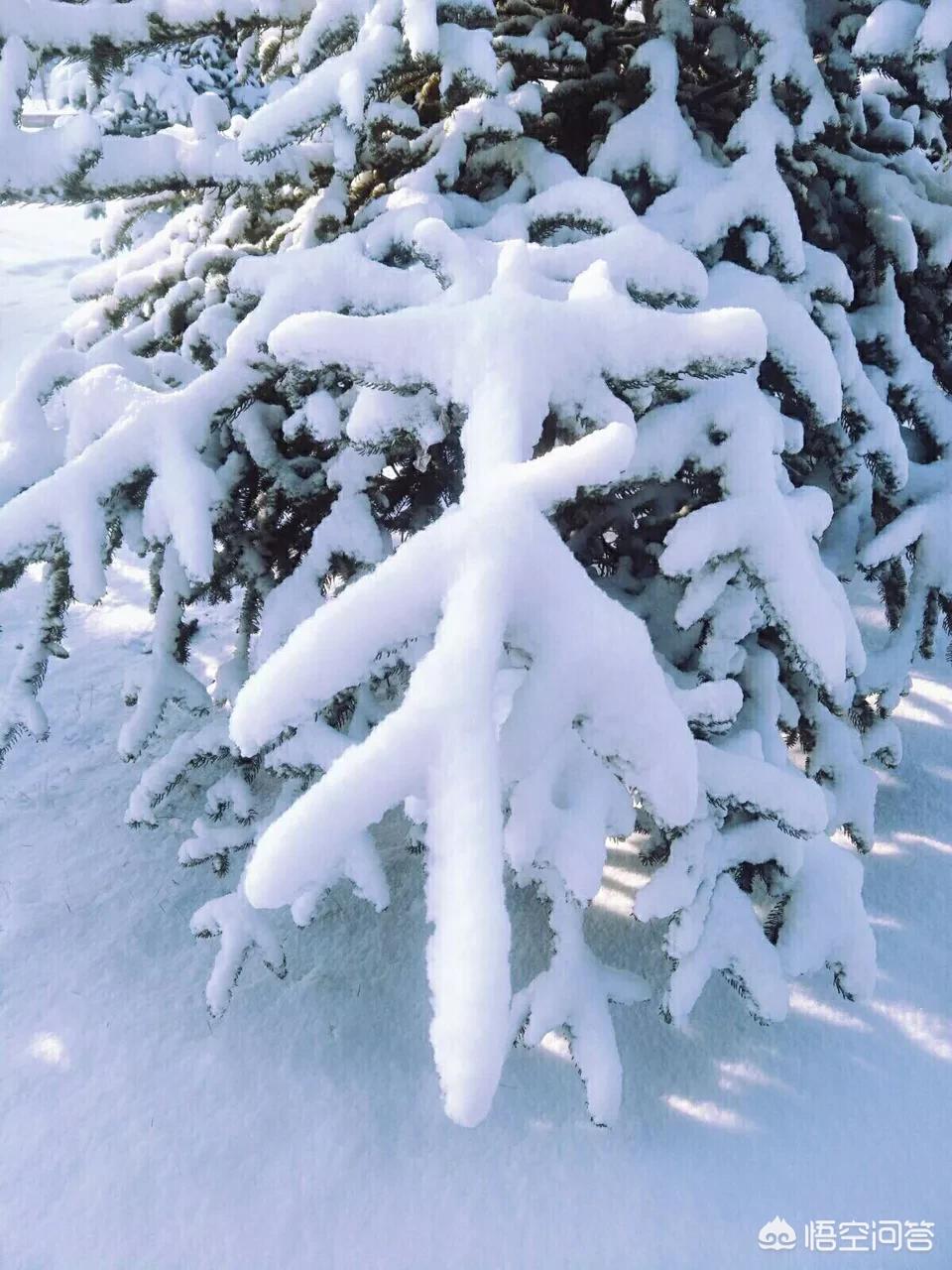 今日特码科普！大风暴雪预警生效中,百科词条爱好_澳彩资料网