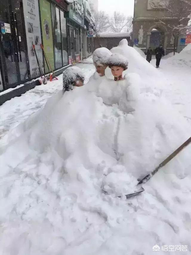 今日特码科普！大风暴雪预警生效中,百科词条爱好_澳彩资料网